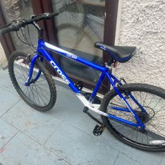 Mountain bike