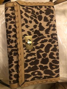 Fiorelli Handbag