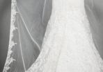 Cathedral length veil Ivory