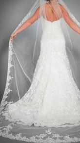 Cathedral length veil Ivory