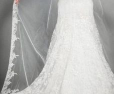 Cathedral length veil Ivory