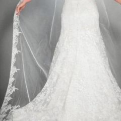 Cathedral length veil Ivory