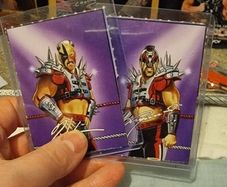 WWF Road Warriors Cards - WWE