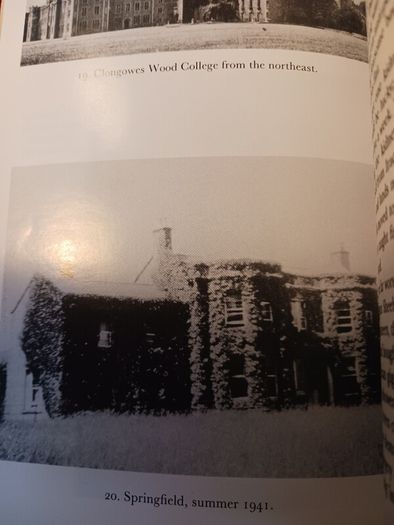 Aidan Higgins/ Donkey's Years / Autobiography/ 1996