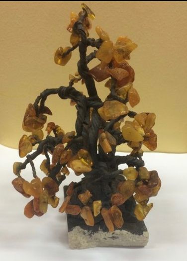 Baltic Amber  Tree