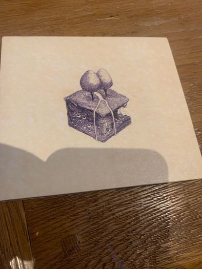 Kiran Leonard - Western Culture