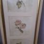 long picture Image 3