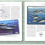 2000 Jersey (Channel Islands) Stamp Year Book (softback) issued by Jersey Post with 16 images of contents Image 10