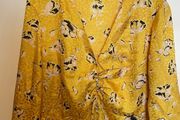 Zara Dress size 10