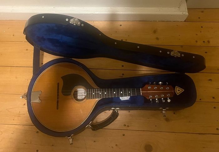 Joe Foley Mandolin For Sale in Ashtown, Dublin from dufjoe