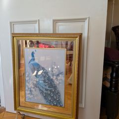 Fire Screen