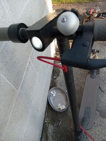 scooter