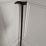 walking stick Image 5