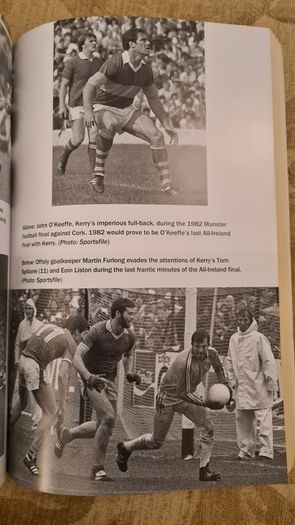 Kings Of September. The Day Offaly Denied Kerry 5 In A Row. By Michael Foley. FIRST EDITION. Paperback In Good Condition.