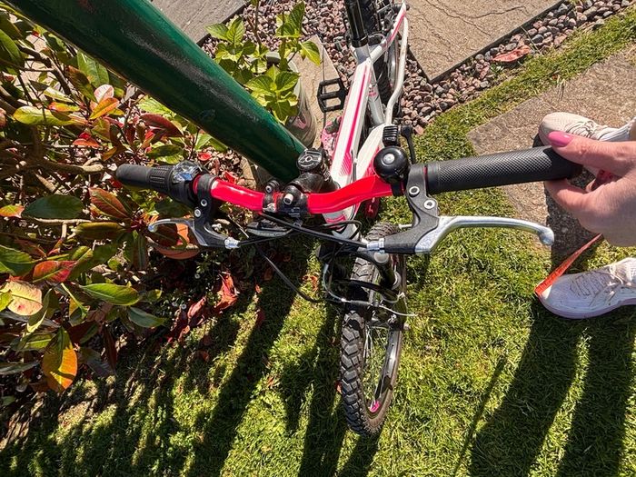 Girls Bike 20"