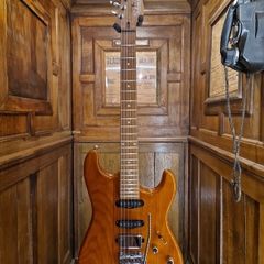 Schecter N427 2020
