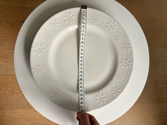 Dinner Plate ( Set of 2 )