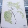 V large hardback book, An Irish Florilegium, D18 post 15e Image 2