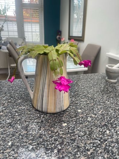 jug