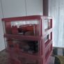 Storage box Image 4