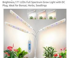 LED grow light