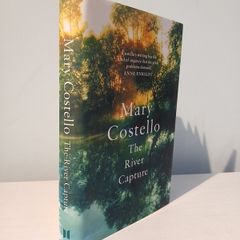 The River Capture by Mary Costello