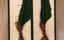 feather quill pens x2