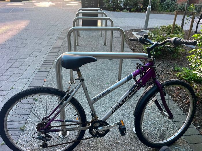 goldrush bike