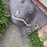 Cast iron Bath Image 3