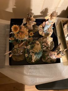 Leonardo collection