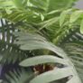 artificial palm (pot not included) Image 5