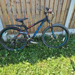 Bike Vericelli Sensor