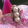 Antique Art Deco 14 Carat White Gold Akoyia Pearl Ring Image 5