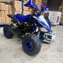 125cc petrol quads Image 8