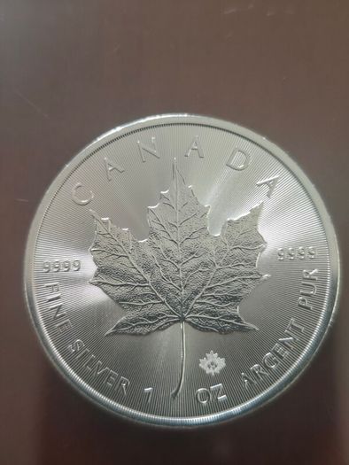 Canada maple leaf silver coins