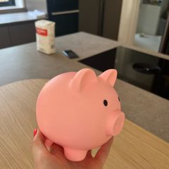 Piggy bank