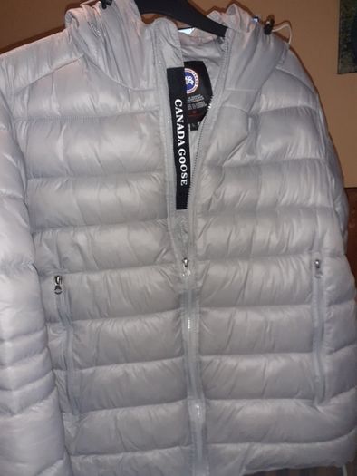 Canada Goose