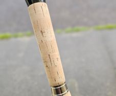 Gaelforce spey rod ( top of line)