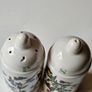 Vintage Portmeirion Botanic Garden Salt & Pepper Shakers Image 3