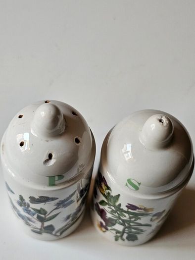 Vintage Portmeirion Botanic Garden Salt & Pepper Shakers