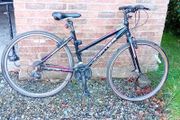 Ladies bike Jupiter Tuscan
