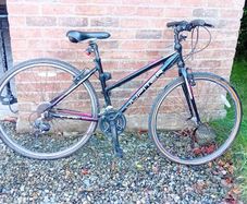 Ladies bike Jupiter Tuscan