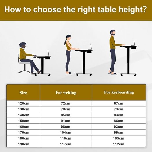 NEW SALE | 120 x 60cm Electric Standing Desk with USB Charging Port (New Sedentary Reminder), Height Adjustable Standing Desk with Cable Tray and Wheels