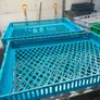 Storage boxes and trays Image 4