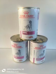 Dog food