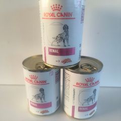Dog food