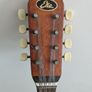 eko electric mandolin Image 2