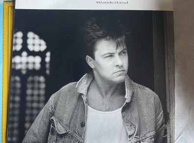 Paul Young. Wonderland vinyl record