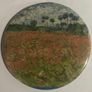 collectables Image 3