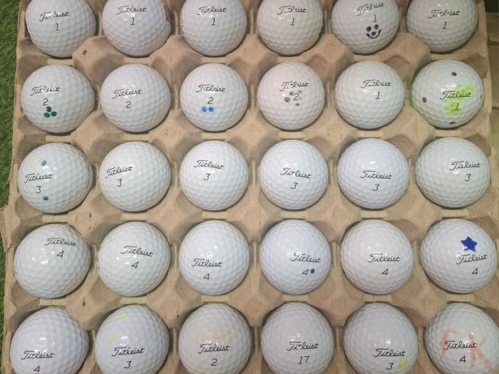 Titleist Pro V1